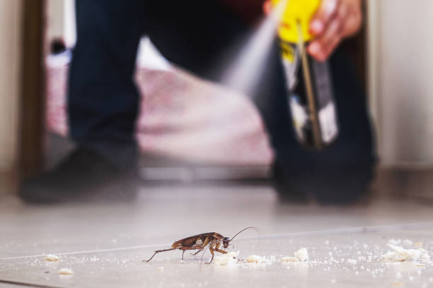 Professional Pest Control in Pleasant Valley, MO