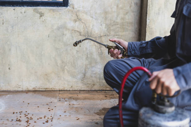 Best Pest Control Near Me  in Pleasant Valley, MO